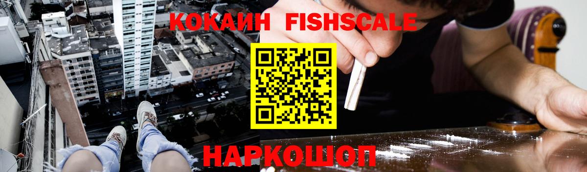Cocaine FishScale  Вход с VPN  Кудымкар 