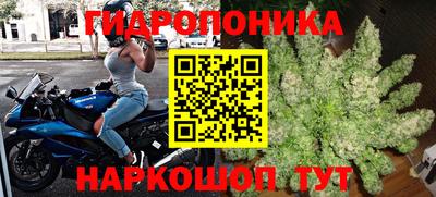 ПСИЛОЦИБИНОВЫЕ ГРИБЫ Берёзовский