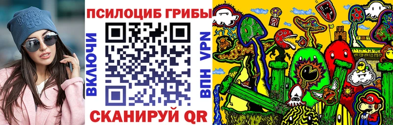 Псилоцибиновые грибы Psilocybe  Кудымкар 