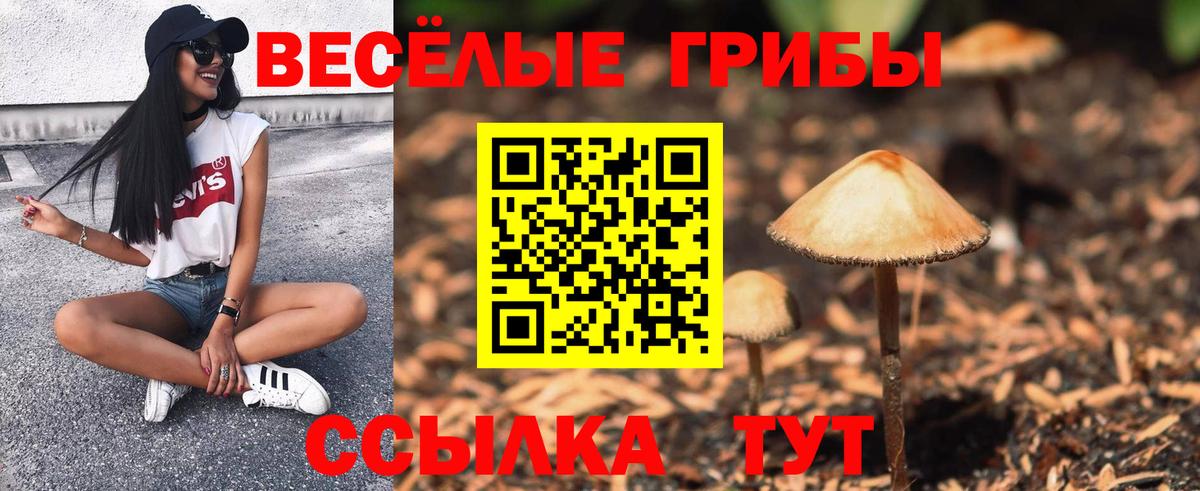 даркнет сайт  Галлюциногенные грибы GOLDEN TEACHER  Вход с VPN  Кудымкар 