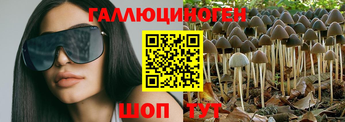 Псилоцибиновые грибы Psilocybe  Кудымкар  Галлюциногенные грибы мицелий 