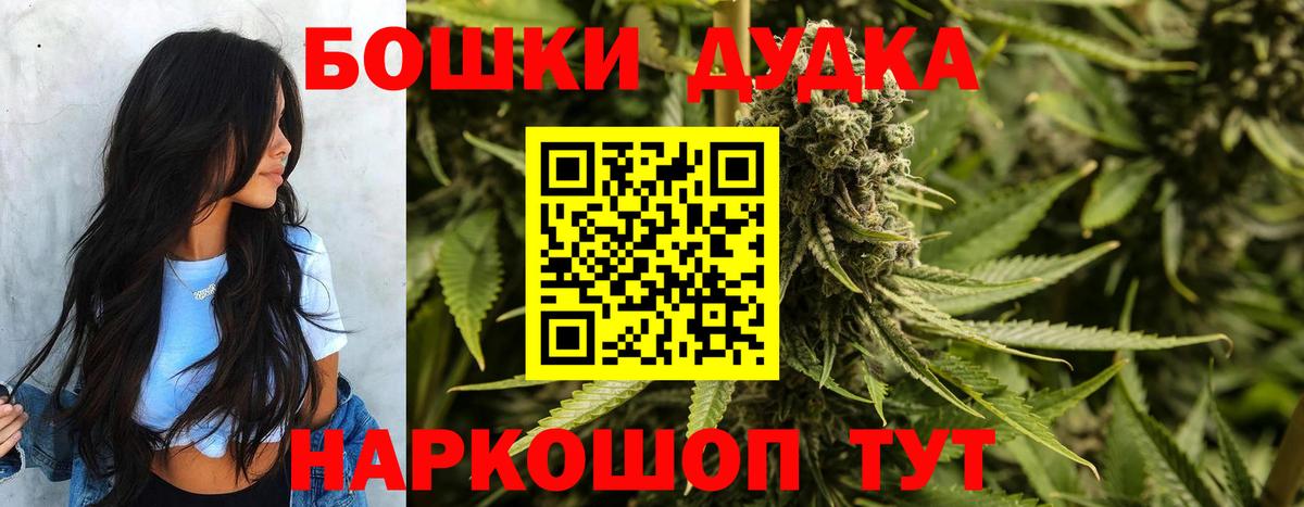 Конопля сатива  Вход с VPN  Конопля план  Кудымкар  Каннабис марихуана  Канабис Bruce Banner 